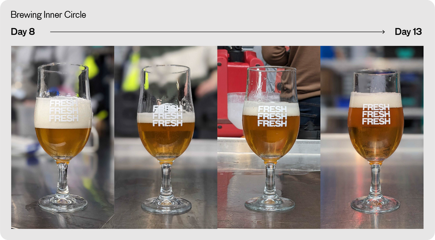Your Beer's Journey through Brewing