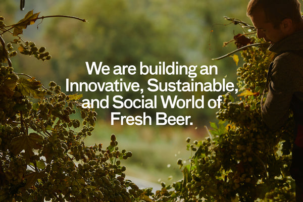 Celebrating Our First Impact Report