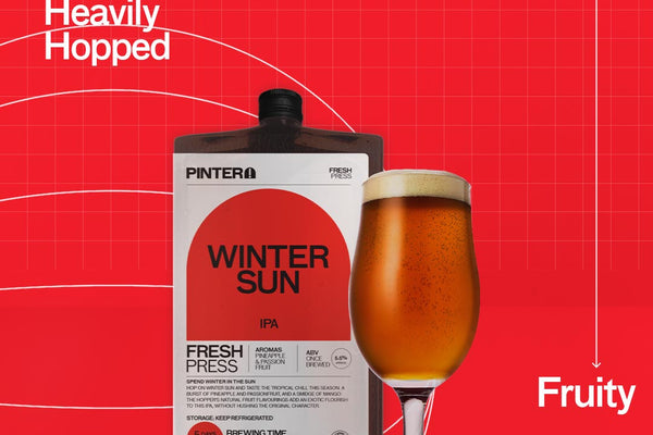 WINTER SUN